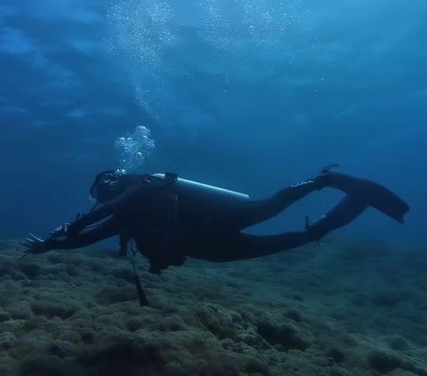 10 Potret Naysilla Mirdad saat Diving di Labuan Bajo, Dapat Pengalaman Langka Bisa Bertemu dengan Hewan Laut ini