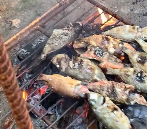 How to Grill Fish Without Any Weird Tools, Just Put It in a Swing!