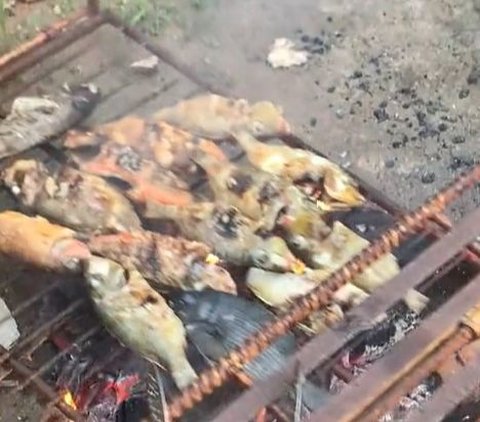 How to Grill Fish Without Any Weird Tools, Just Put It in a Swing!