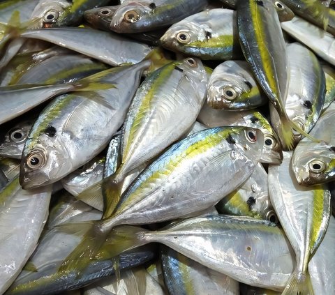 It Turns Out There is an Easy Way to Remove Mackerel Fish Bones, Just One Pull and They're All Out