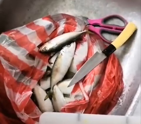 It Turns Out There is an Easy Way to Remove Mackerel Fish Bones, Just One Pull and They're All Out