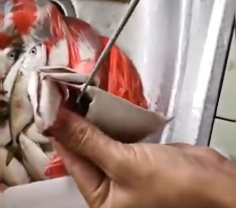 It Turns Out There is an Easy Way to Remove Mackerel Fish Bones, Just One Pull and They're All Out