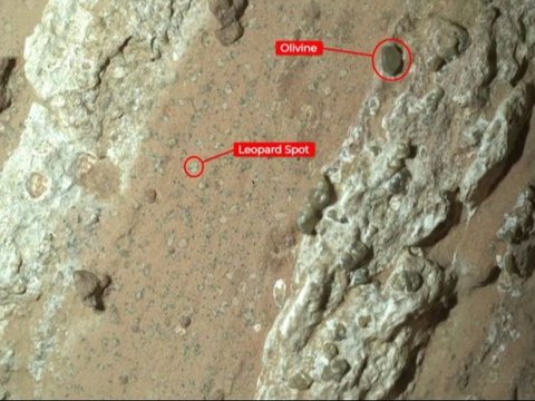 Batu Misterius Ditemukan di Mars, Berisi Petunjuk Tanda-tanda Kehidupan Purba