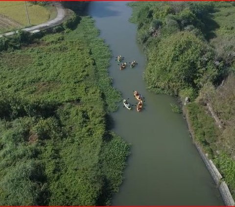 Serunya Naik Kano Menyusuri Laguna Pengklik Sanden di Bantul, Pilihan Destinasi Libur Akhir Pekan