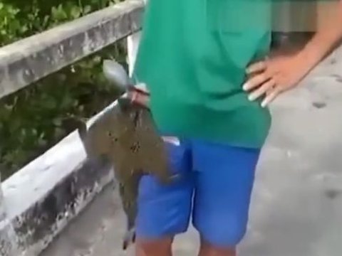 Viral Fish Caught by Fisherman in Probolinggo with Strange Shape, Has Legs Under Its Body