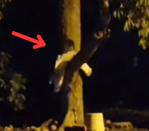 Mother Reveals Strange Story in Inherited House: Figure Resembling a Child Hanging from a Tree Just Before Dawn, Same Hair and Face!