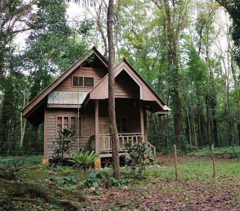 Mother Reveals Strange Story in Inherited House: Figure Resembling a Child Hanging from a Tree Just Before Dawn, Same Hair and Face!