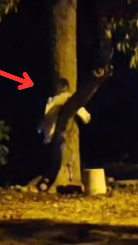 Mother Reveals Strange Story in Inherited House: Figure Resembling a Child Hanging from a Tree Just Before Dawn, Same Hair and Face!