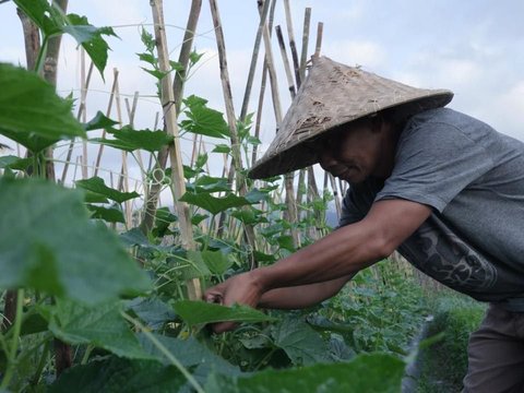 Mengenal Desa Angseri, Desa BRILiaN dengan Tata Kelola Terbaik