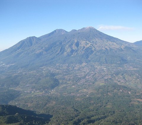 Jatim Jadi Penghasil Lempuyang Terbesar di Indonesia, Ini Faktanya