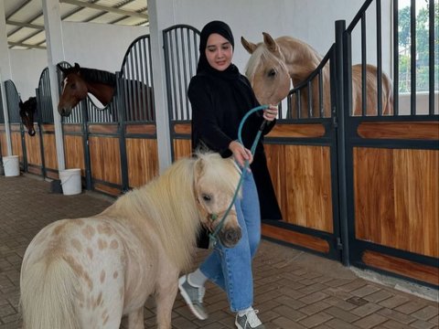 8 Potret Ukkasya Anak Zaskia Sungkar Bersama Kuda Baru Berukuran Mungil, Lucu Banget!