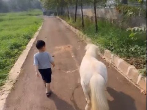 8 Potret Ukkasya Anak Zaskia Sungkar Bersama Kuda Baru Berukuran Mungil, Lucu Banget!