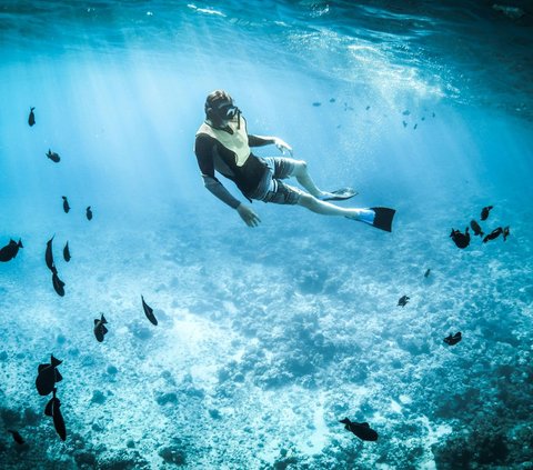 Peringatan Hari Snorkeling Sedunia 30 Juli, Ketahui Tujuannya