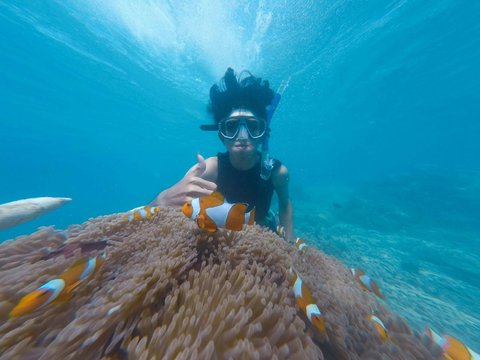 Tujuan Hari Snorkeling Sedunia