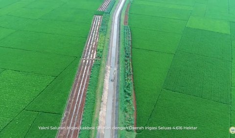 Bersantai di Taman Pinggir Bendungan sambil Melihat Sawah