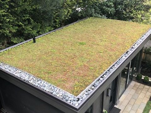 Atap Hijau (Green Roof)