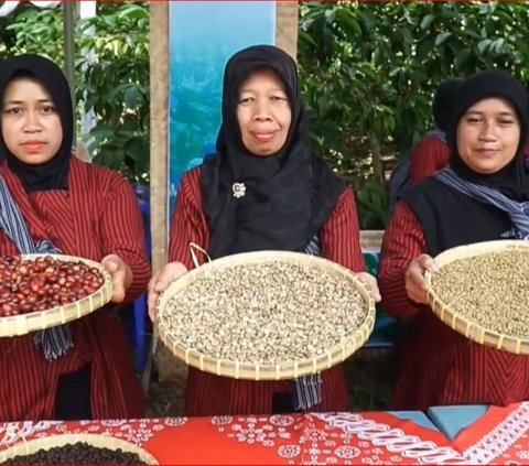 Mengenal Tradisi Wiwitan Kopi, Cara Warga Lereng Merbabu di Boyolali Sambut Musim Panen Raya Kopi