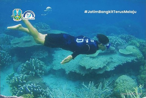 Eksotisme Surga Bawah Laut Jawa Timur, Rumah Terumbu Karang dan Anemon Laut yang Bikin Betah Penyelam