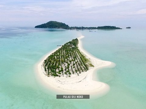 Eksotisme Surga Bawah Laut Jawa Timur, Rumah Terumbu Karang dan Anemon Laut yang Bikin Betah Penyelam