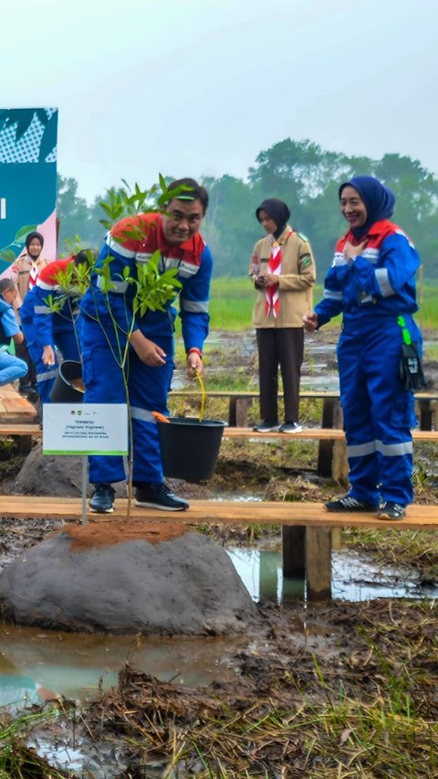 Taman Rawa Pertama di Indonesia dengan 30 Spesies Pohon Terancam Punah