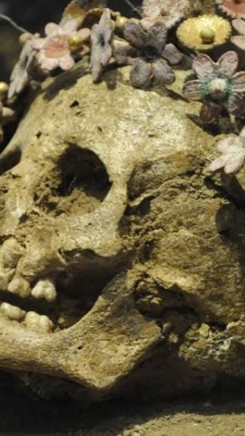 Arkeolog Temukan Tengkorak Gadis Yunani Berusia 2.400 Tahun, Dikubur dengan Bando Bunga-Bunga Melingkari Kepalanya
