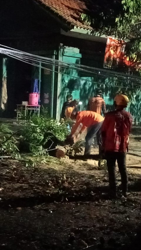 Hujan Deras di Jakarta, Belasan Pohon Tumbang Menimpa Kabel PLN hingga Bajaj