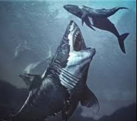 Hiu purba ini memiliki bentuk yang aneh dan menyeramkan.