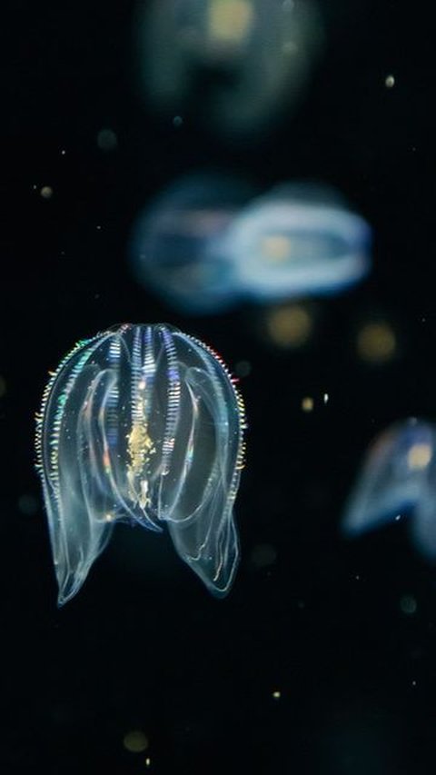 Hewan purba berusia ratusan tahun yang masih hidup hingga saat ini.