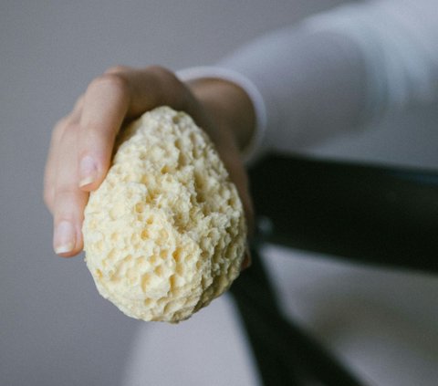 Hewan purba yang masih hidup di bumi dan sudah berusia ratusan tahun.