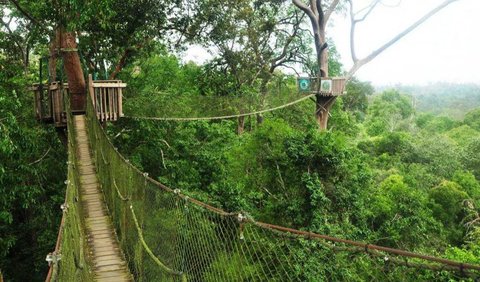 <b>Wahana Canopy Bridge</b>