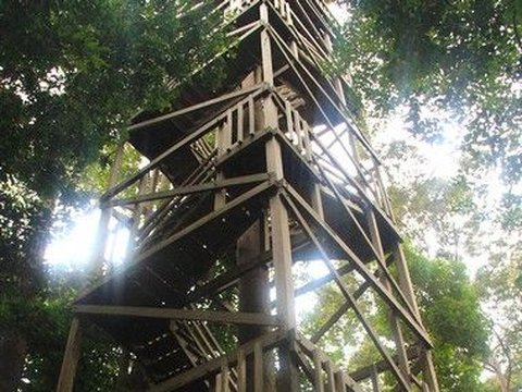 Bukit Bangkirai, Menjajal Sensasi Berpetualang di Konservasi Hutan Tropis Kalimantan Timur