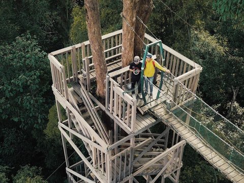 Bukit Bangkirai, Menjajal Sensasi Berpetualang di Konservasi Hutan Tropis Kalimantan Timur