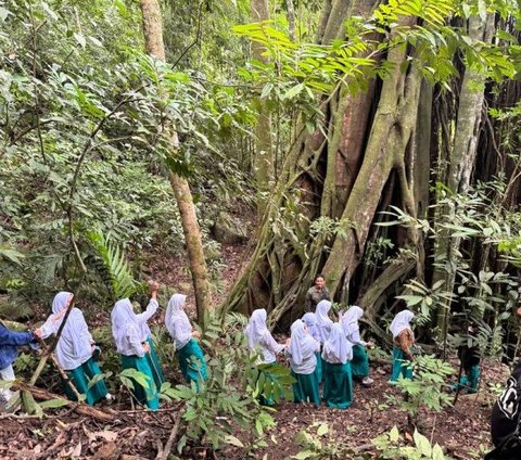 Berkunjung ke Tahura Pocut Meurah Intan, Suguhkan Objek Wisata Menarik dan Kawasan Observasi