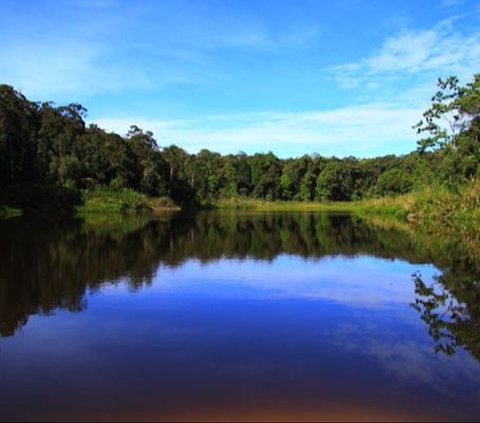 Fakta Menarik Taman Nasional Lore Lindu, Ladangnya Warisan Megalitikum hingga Kekayaan Flora Fauna Langka