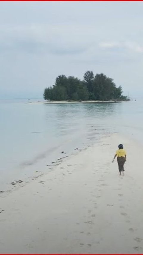 Sensasi Berwisata ke Pulau Morotai, Bisa Melihat Peninggalan Perang Dunia II hingga Renang bareng Ikan Hiu