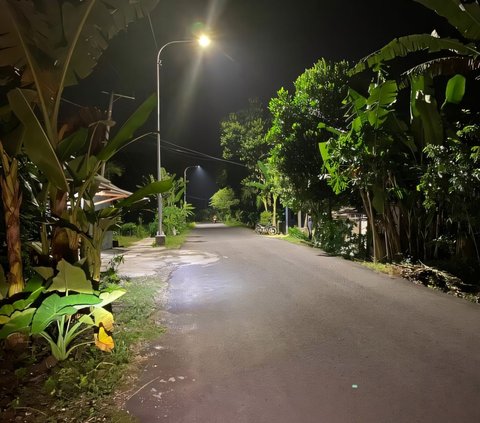 Chilling! Viral Video of a 3-Meter Python Calmly Crossing the Road in Depok Causes Traffic Jam