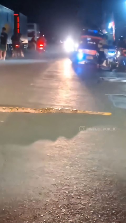 Chilling! Viral Video of a 3-Meter Python Calmly Crossing the Road in Depok Causes Traffic Jam