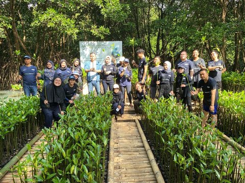 Hari Mangrove Sedunia, PNM Peduli Tanam 50.000 Mangrove untuk Tekan Bencana di Pesisir