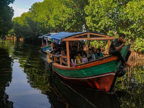 Hari Mangrove Sedunia, PNM Peduli Tanam 50.000 Mangrove untuk Tekan Bencana di Pesisir