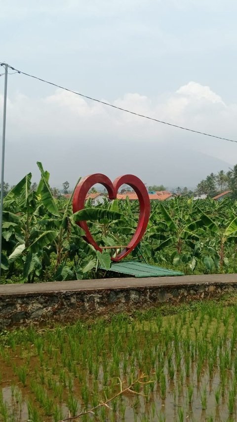 Sukses Gali Potensi Pertanian dan Wisata, Ini Cerita Desa Cikaso yang Raih Juara Desa BRILian