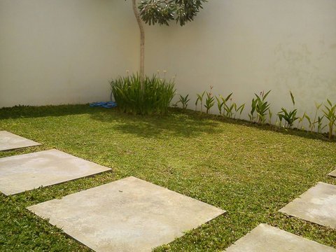 Sebelum memilih jenis rumput untuk pekarangan rumah Anda, simak jenis-jenis rumput berikut ini!