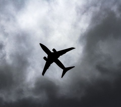 2-Year-Old Stuck in Cabin Ceiling After Severe Turbulence | trstdly ...