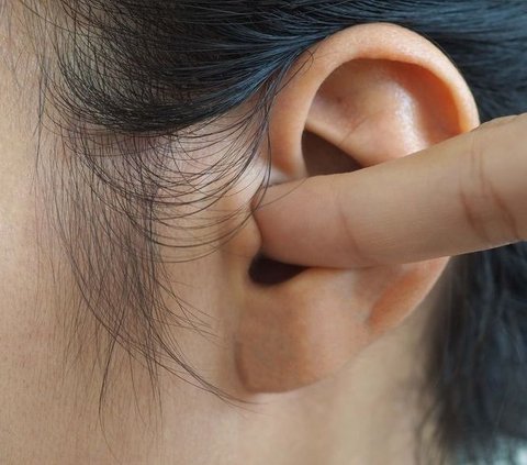 Penelitian Baru Temukan Pengobatan untuk Cegah Hilangnya Pendengaran Akibat Usia dan Suara Bising