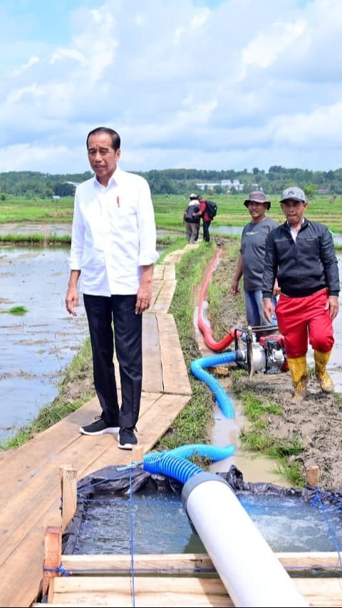 <br><br>Jokowi ke Tengah Sawah Cek Pemberian Bantuan 300 Pompa Irigasi di Sulsel