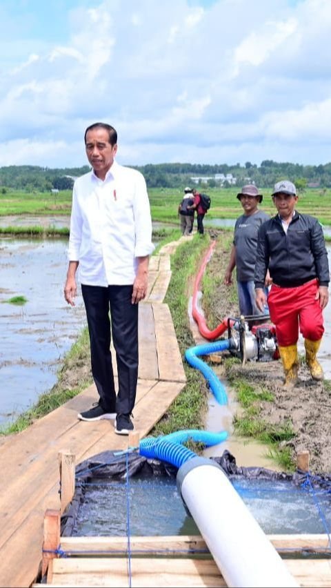 Warga Sinjai Meninggal di Sela Kunjungan Jokowi, Ini Respons Istana