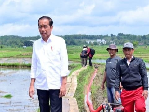 Resident of Sinjai Dies During Jokowi's Visit, Palace Responds
