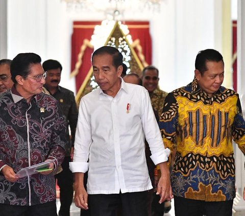 Resident of Sinjai Dies During Jokowi's Visit, Palace Responds