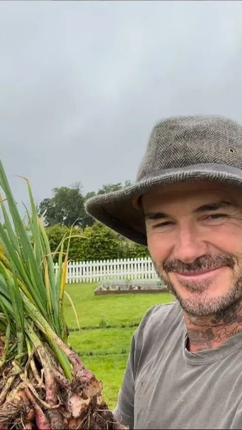 Penampilan David Beckham saat Berkebun, Panen Daun Bawang Buat Victoria