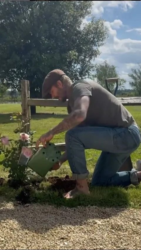 Penampilan David Beckham saat Berkebun, Panen Daun Bawang Buat Victoria