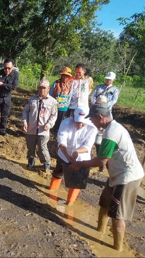 Lewat Cara Ini, Kementan Genjot Indeks Pertanaman Sawah di Lahan Rawa 